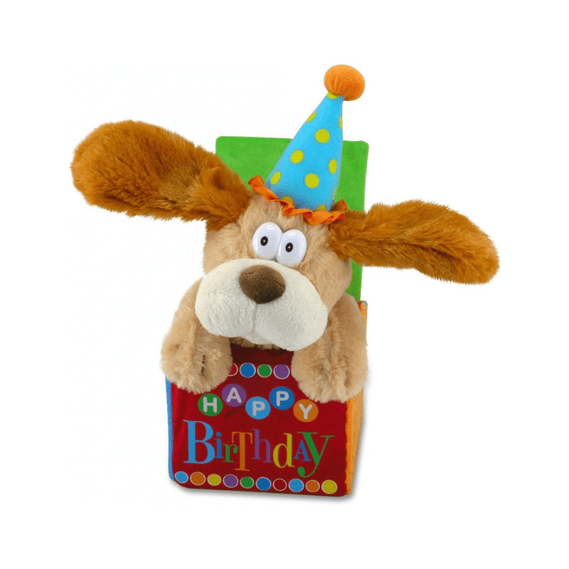 Flappy Birthday Plush Toy