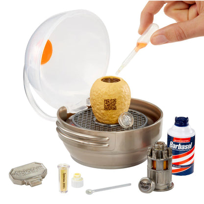 Mini dino kit: egg in tray with tool bottles and barbasol-style canister
