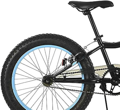 20-inch bicycle with black frame, blue rim stripe, front wheel and handlebars visible