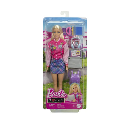 Back To School Rainbow Count Set