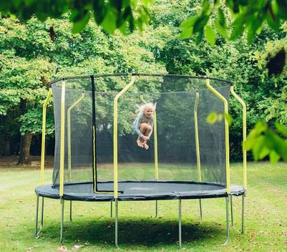 2.44 m wave trampoline with safety net and black jumping mat, steel frame
