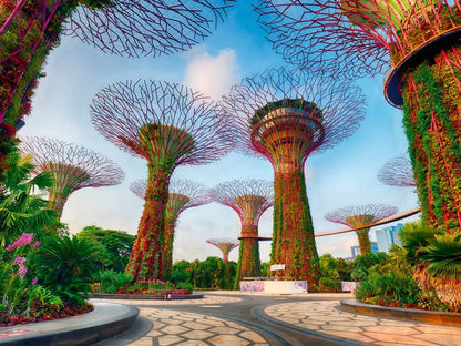 Garden By The Bay At Singapore 1000 Pcs
