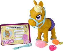 Pamper Petz Pony with 11 Surprises - Interactive Foal Toy with Drinking, Wet Nappy & Magic Gender Reveal - 24cm Collectible for Kids