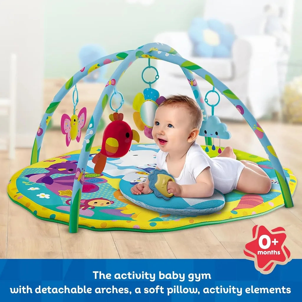 Baby activity gym with detachable arches and soft play mat, colorful farm animals