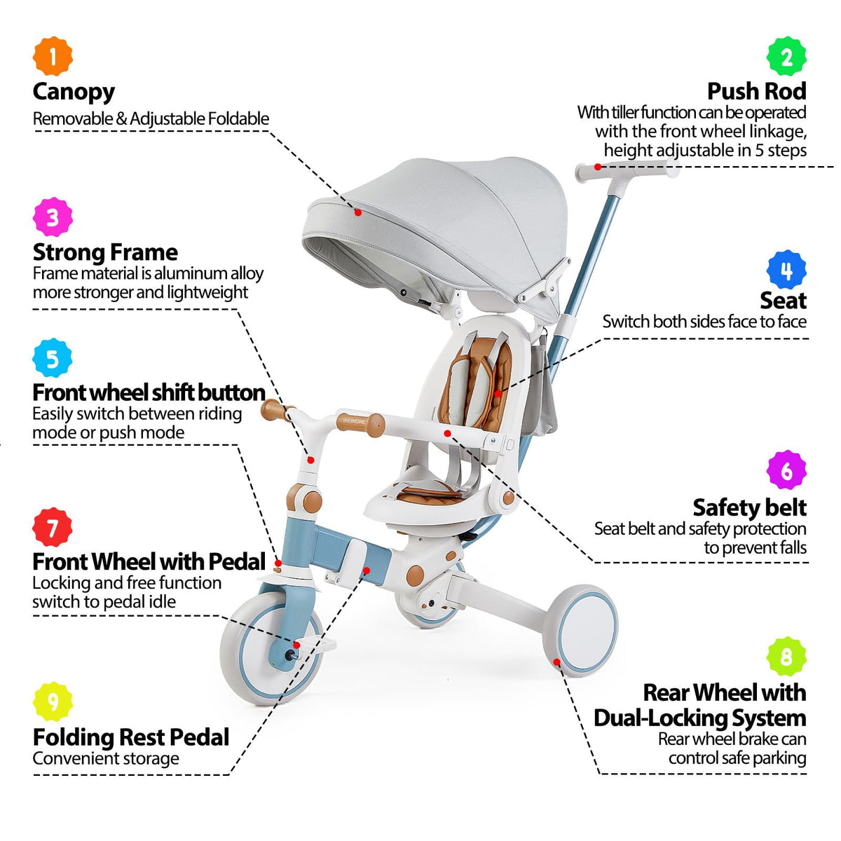 Multi-stage tricycle stroller with canopy, fold frame, and safety belt
