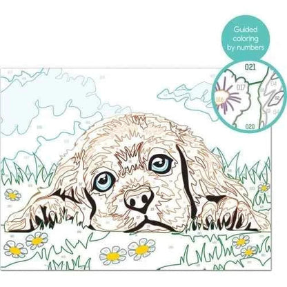 Unfinished puppy paint-by-numbers picture with numbered color guide