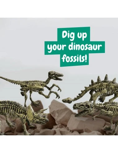 Fossils Excavation 4-in-1 Kit