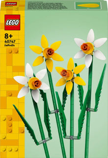 Daffodils