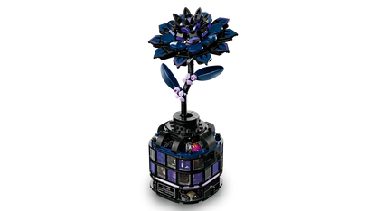 Wednesday Black Dahlia Set