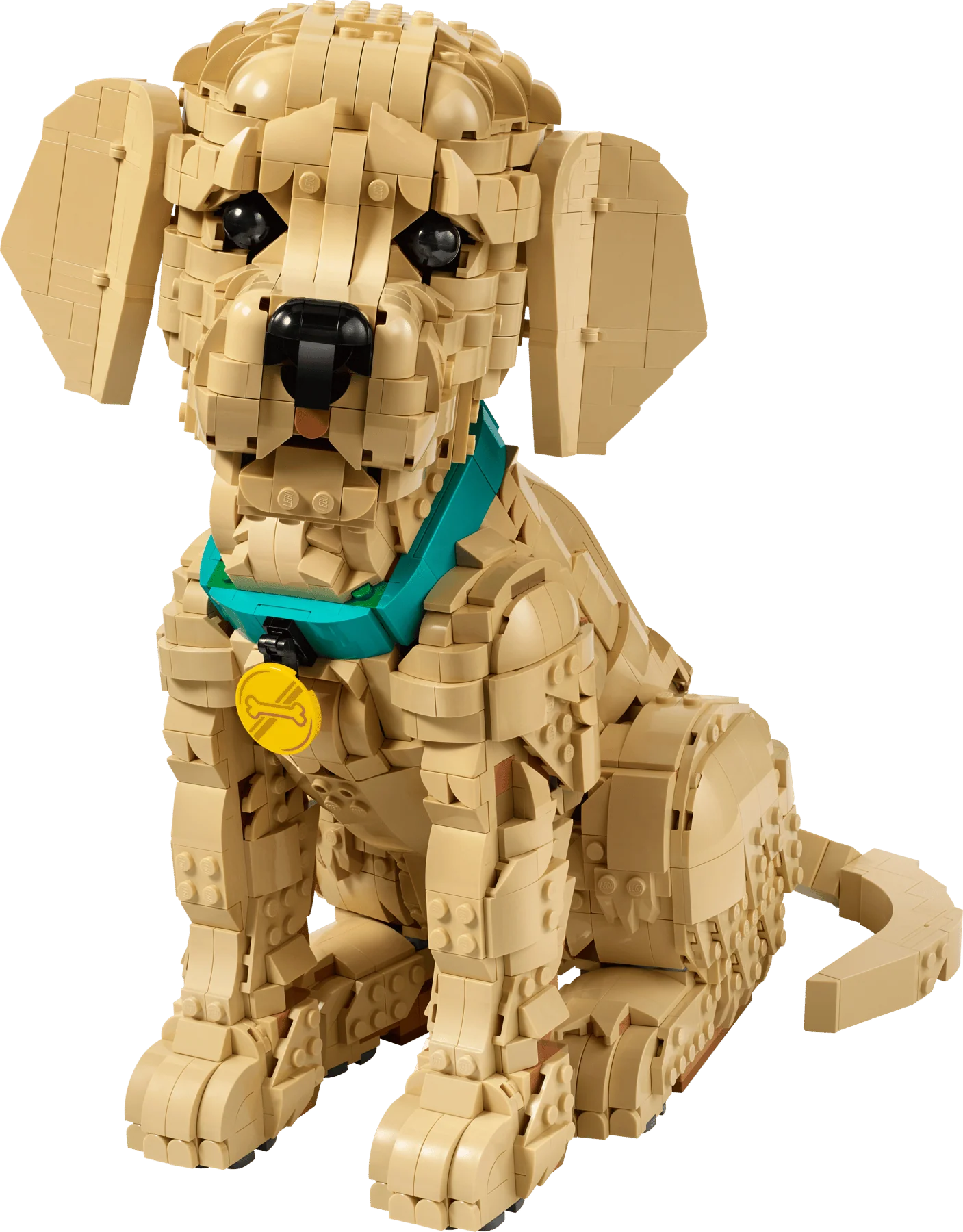 Golden Retriever Puppy brick-built dog with teal collar, black nose and open mouth