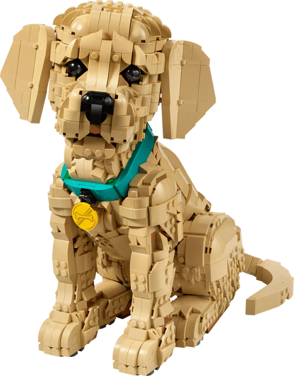 Golden Retriever Puppy brick-built dog with teal collar, black nose and open mouth