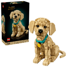 LEGO Icons Golden Retriever Puppy building set, standing pose with teal collar