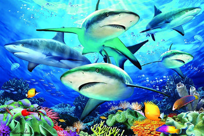 Reef Shark Puzzle