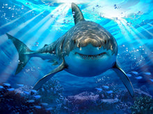 Great White Shark Puzzle