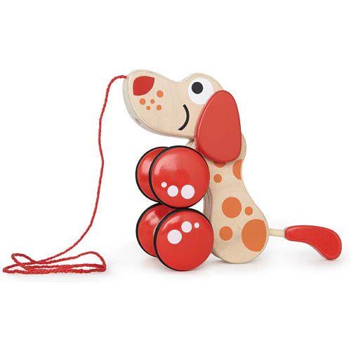 Walk-A-Long Puppy