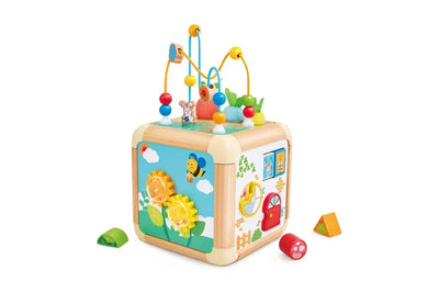 Carrot Activity Cube