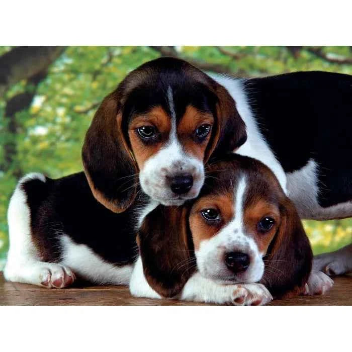Close together 500 Piece Jigsaw Puzzle