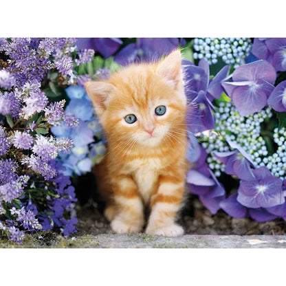Ginger cat 500 Piece Jigsaw Puzzle