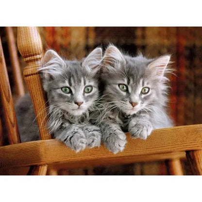 Kittens 500 Piece Jigsaw Puzzle