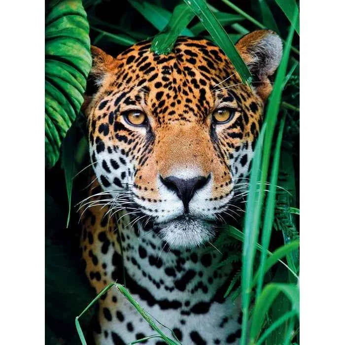 Jaguar in the Jungle 500 Piece Jigsaw Puzzle
