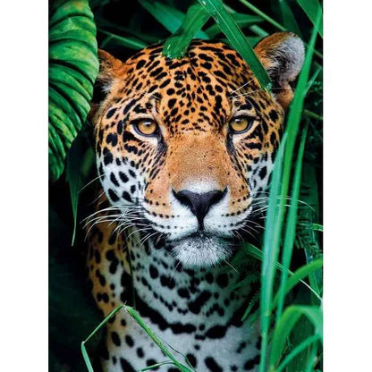 Jaguar in the Jungle 500 Piece Jigsaw Puzzle