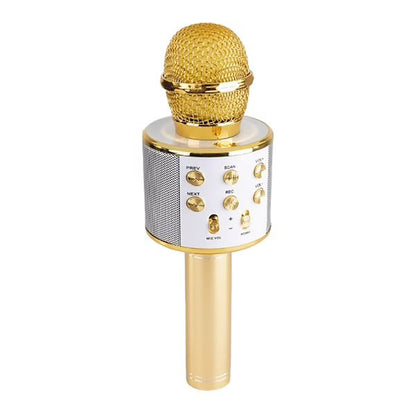 Music Star 7-in-1 Karaoke Microphone The Toy Store - Toys