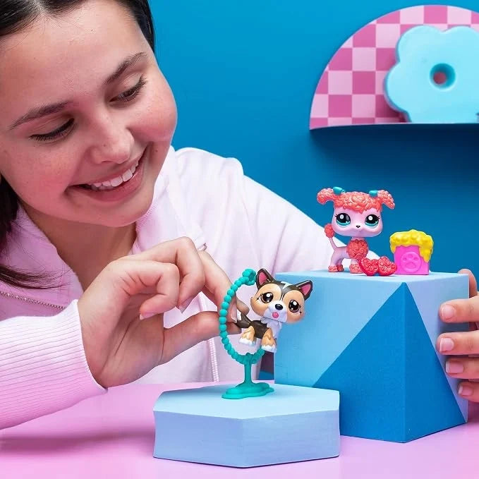 Pet Pairs playset with two character figurines and accessories
