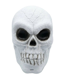 White skull decoration with black hollow eyes and detailed teeth
