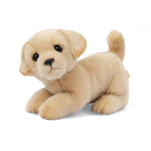 Dog Plush 20cm Various Models - AMI Plush - Light Brown - The Toy Store