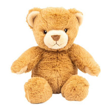 Eco - Friendly Teddy Bear 25cm - AMI Plush - Brown - The Toy Store