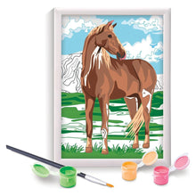 Paint And Frame, Wild Horse - As Company - The Toy Store