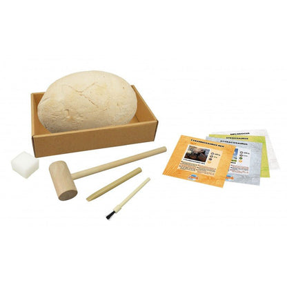 Dinosaur egg hatching kit with beige egg, wooden tools, and instruction cards