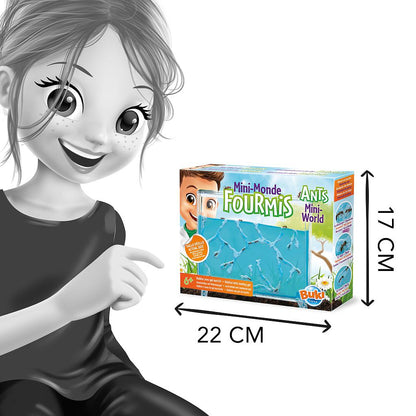Ants Mini - World Habitat Kit - Buki France - The Toy Store