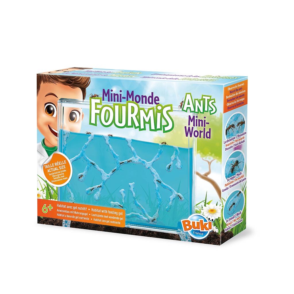Ants Mini-World habitat kit box with clear blue terrarium display