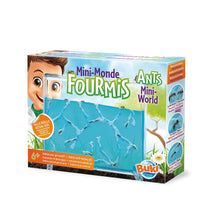 Ants Mini-World habitat kit box with clear blue terrarium display