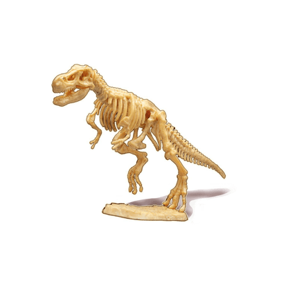 Stegosaurus fossil skeleton model on display base