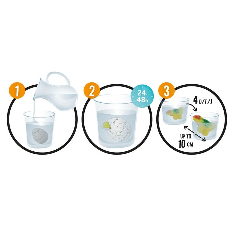 Magic egg hatching steps diagram: container, egg in water, 48h, up to 10 cm