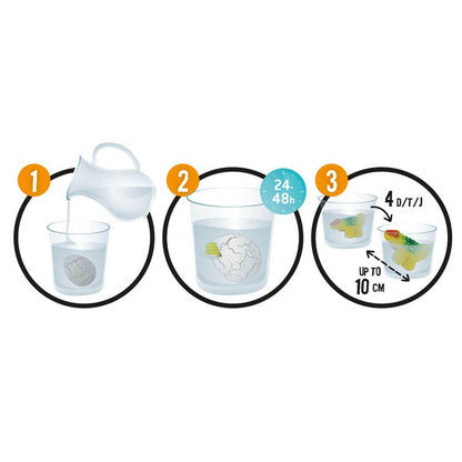 Magic egg hatching steps diagram: container, egg in water, 48h, up to 10 cm
