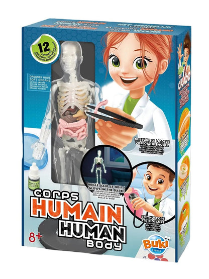 Human Body Anatomy Science Kit - Buki - The Toy Store