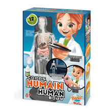 Human Body Anatomy Model - Buki - The Toy Store