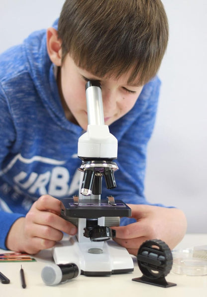 Child using a white-and-black microscope on a tabletop