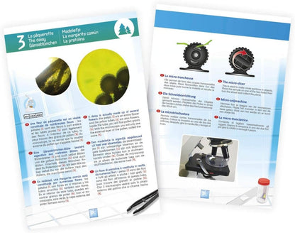 Microscope experiment instruction sheets with diagram panels and label icons