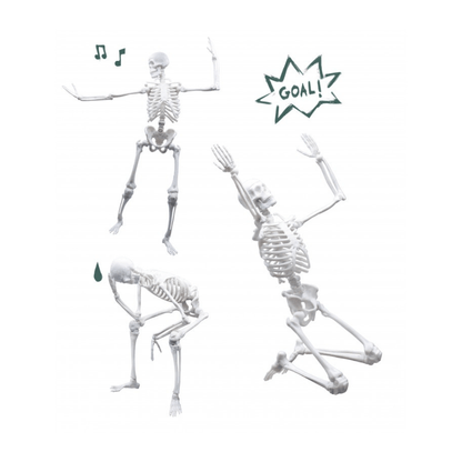 45 cm Skeleton Model - Buki - The Toy Store