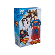 Superman, Green Lantern, Hawkgirl, and Mr. Terrific 4 - DC Comics - The Toy Store