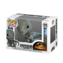 Vinyl dinosaur collectible figure in box with blue markings and gray body