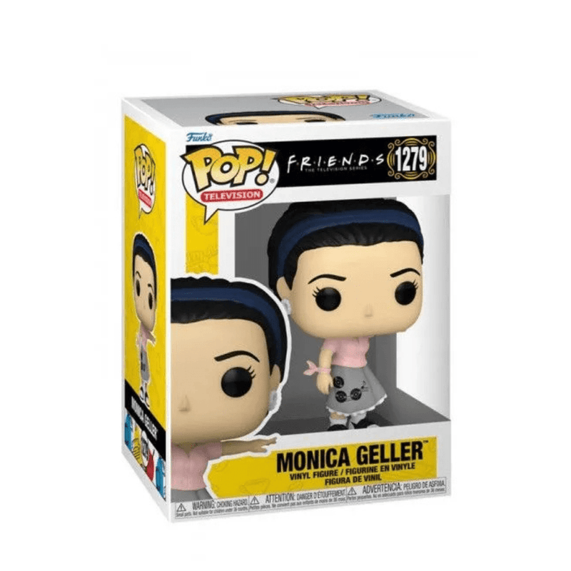 The Television Series Monica Geller