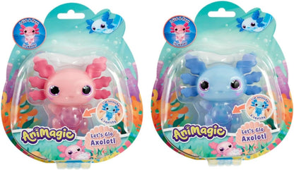 CDU Axolotl 6 roses/6 bleus>8 roses/4 bleus - Goliath - The Toy Store