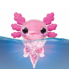 CDU Axolotl 6 roses/6 bleus>8 roses/4 bleus - Goliath - The Toy Store