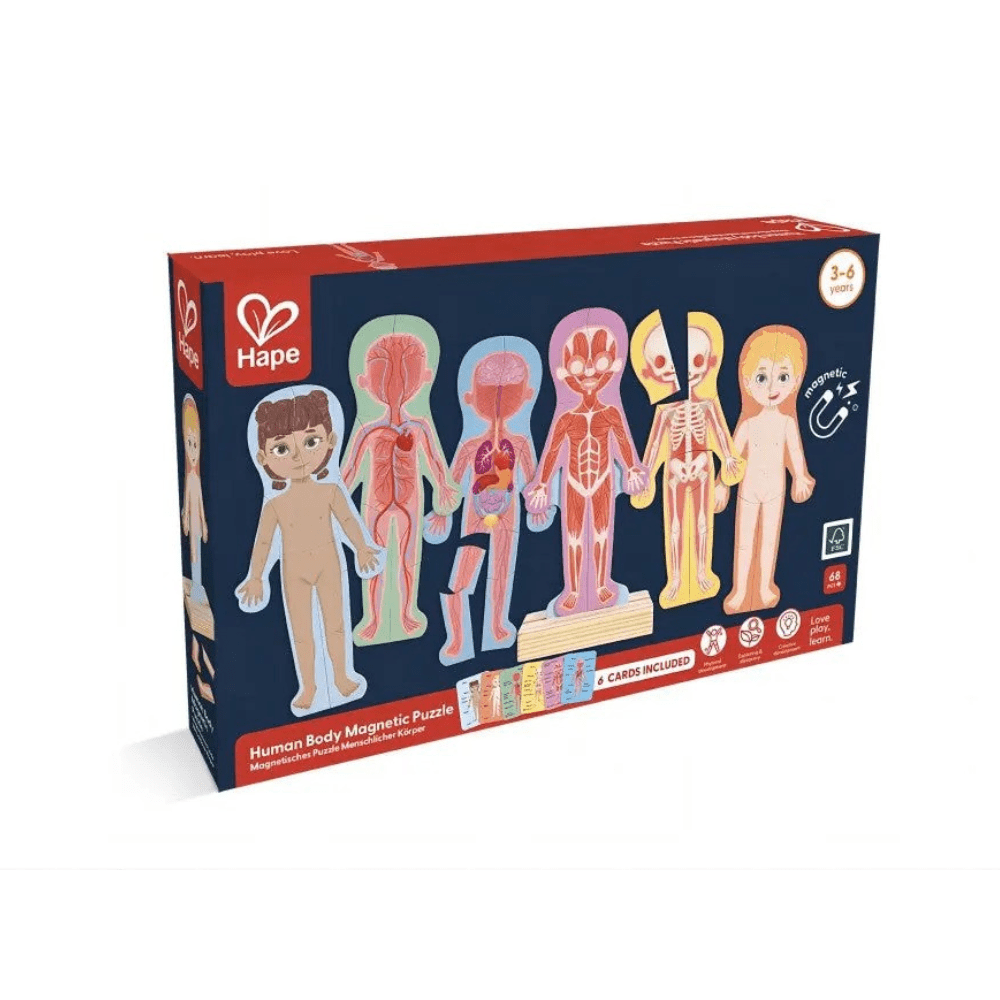 Human Body Magnetic Puzzle - Hape - The Toy Store
