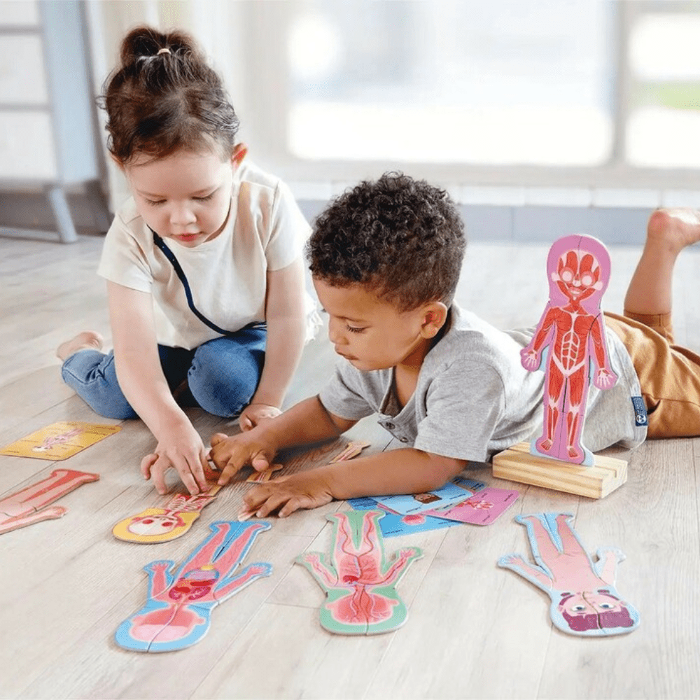Human Body Magnetic Puzzle - Hape - The Toy Store
